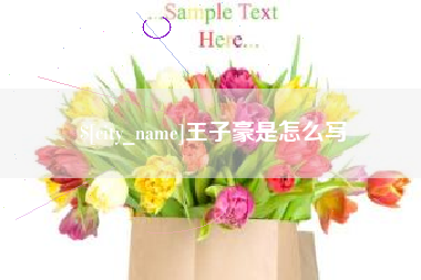 铜仁王子豪是怎么写