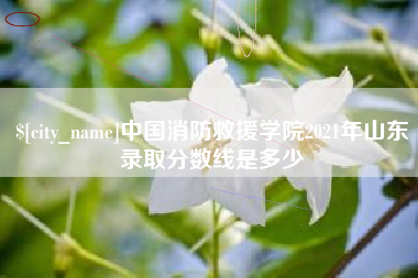 铜仁中国消防救援学院2021年山东录取分数线是多少