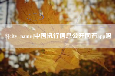 铜仁中国执行信息公开网有app吗