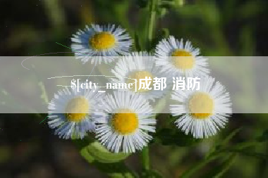 铜仁成都 消防
