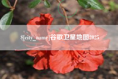 铜仁谷歌卫星地图2025