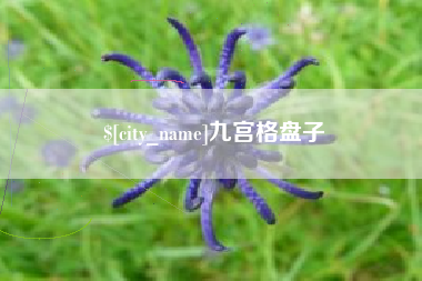 铜仁九宫格盘子