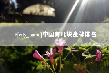 铜仁中国有几块金牌排名