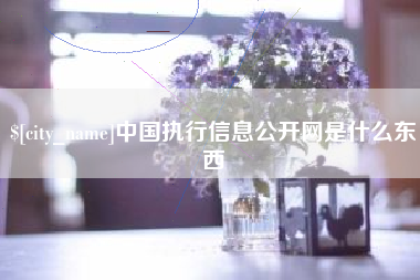 铜仁中国执行信息公开网是什么东西