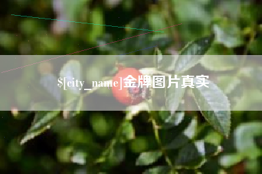 铜仁金牌图片真实