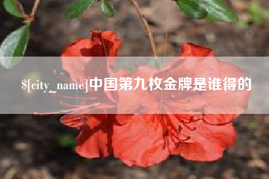 铜仁中国第九枚金牌是谁得的