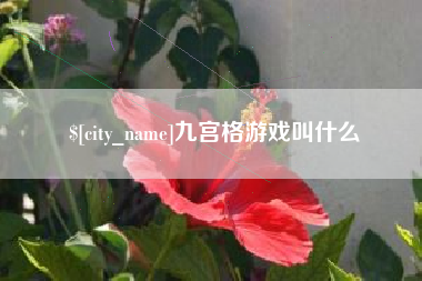 铜仁九宫格游戏叫什么