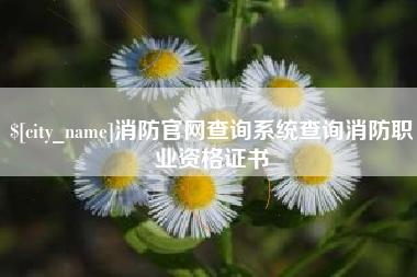 铜仁消防官网查询系统查询消防职业资格证书