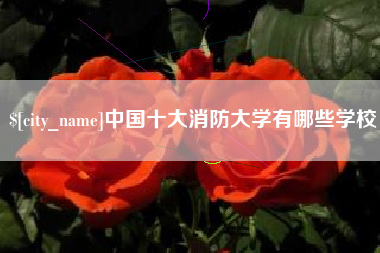 铜仁中国十大消防大学有哪些学校