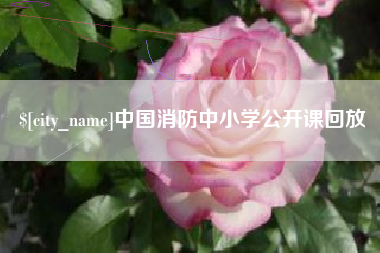 铜仁中国消防中小学公开课回放