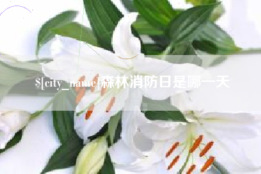 铜仁森林消防日是哪一天