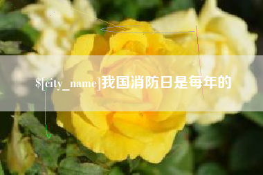 铜仁我国消防日是每年的