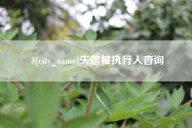 铜仁失信被执行人杳询