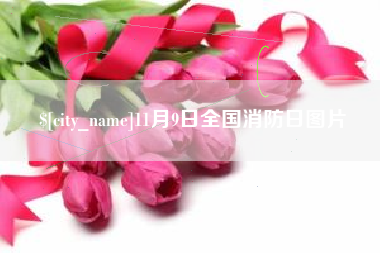 铜仁11月9日全国消防日图片