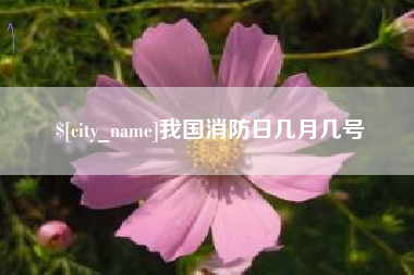 铜仁我国消防日几月几号