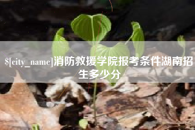 铜仁消防救援学院报考条件湖南招生多少分