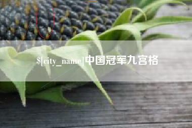 铜仁中国冠军九宫格
