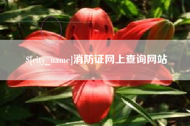 铜仁消防证网上查询网站