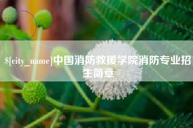 铜仁中国消防救援学院消防专业招生简章
