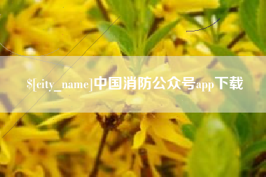 铜仁中国消防公众号app下载