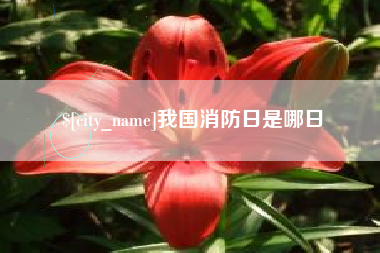 铜仁我国消防日是哪日