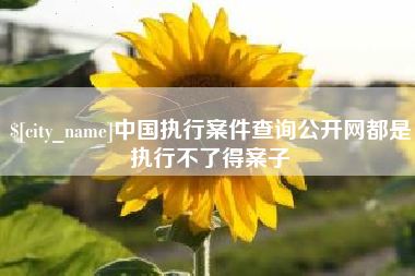 铜仁中国执行案件查询公开网都是执行不了得案子