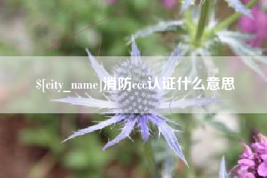 铜仁消防ccc认证什么意思