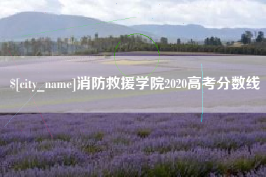 铜仁消防救援学院2020高考分数线