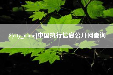 铜仁中国执行信息公开网查询