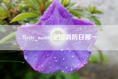 铜仁全国消防日哪一