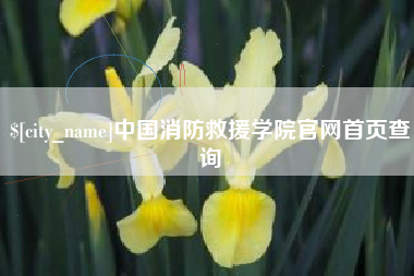 铜仁中国消防救援学院官网首页查询