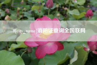 铜仁消防证查询全国联网