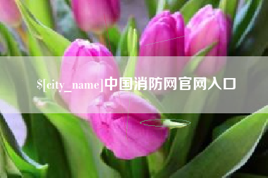 铜仁中国消防网官网入口