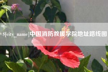 铜仁中国消防救援学院地址路线图