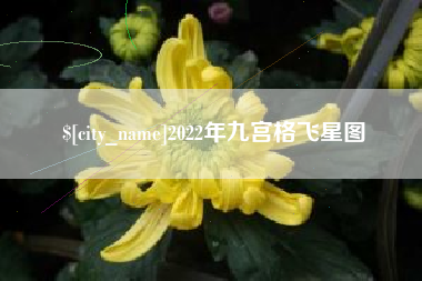 铜仁2022年九宫格飞星图