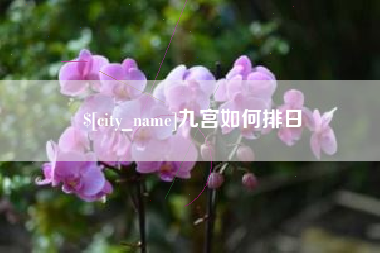 铜仁九宫如何排日