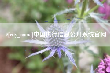 铜仁中国执行信息公开系统官网