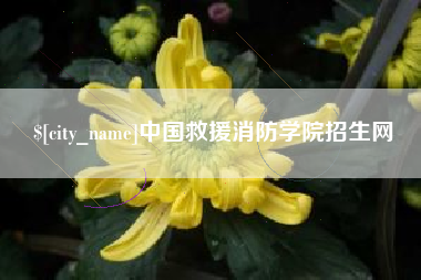 铜仁中国救援消防学院招生网