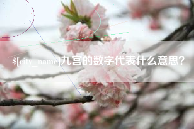 铜仁九宫的数字代表什么意思？