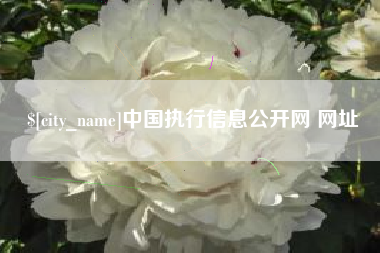 铜仁中国执行信息公开网 网址