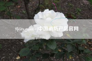 铜仁中国消防产品官网