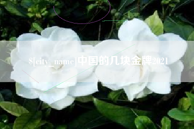 铜仁中国的几块金牌2021
