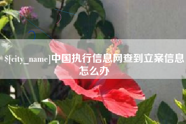 铜仁中国执行信息网查到立案信息怎么办
