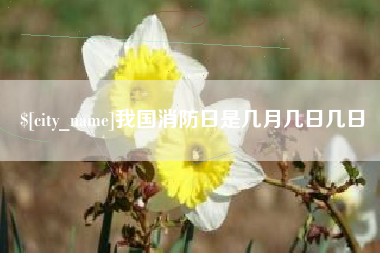 铜仁我国消防日是几月几日几日