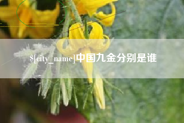 铜仁中国九金分别是谁