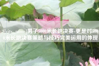 铜仁男子5000米长跑决赛-更是对5000米长跑决赛策略与技巧完美运用的体现