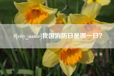 铜仁我国消防日是哪一日？