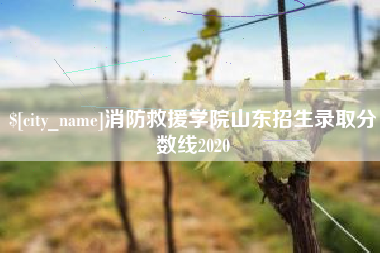 铜仁消防救援学院山东招生录取分数线2020