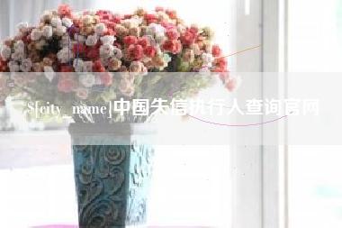 铜仁中国失信执行人查询官网