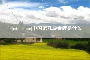 铜仁中国第九块金牌是什么